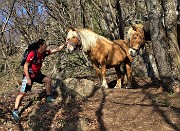 MONTE ZUCCO ad anello da S. Antonio Abb. via Sonzogno (31mar21) 